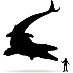 Papo Mosasaurus Dinosaurie 26 cm