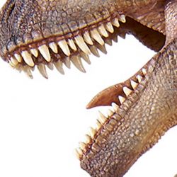 Papo Giganotosaurus Dinosauriefigur