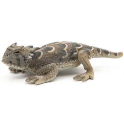 Papo Paddleguan