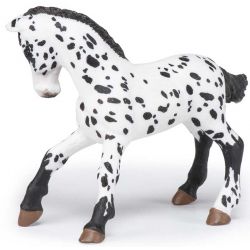 Papo Appaloosa föl svart
