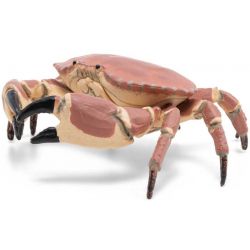 Papo Krabba