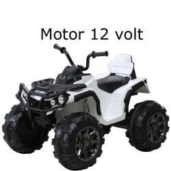Fyrhjuling Protector Quad 12 volt