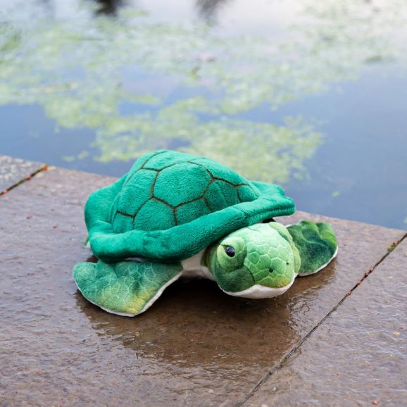 ANIMIGOS WORLD OF NATURE TURTLE