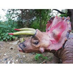 Dinosaurie Triceratops Naturgummi - 92 cm
