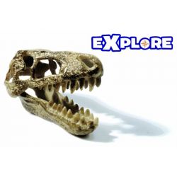 Utgrävningskit Dinosaurie Tyrannosaurus Rex - SES Excavate Dino