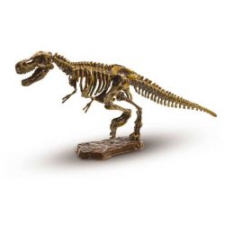 Grävkit Utforska Dinosauriefossil T-Rex