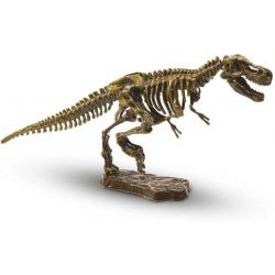 Grävkit Utforska Dinosauriefossil T-Rex