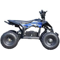 Mini ATV Eldriven till barn 1000 watt