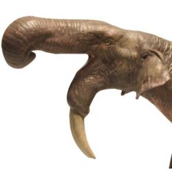 Eofauna Deinotherium Elefant