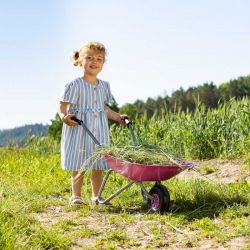 Rolly Toys Skottkärra rosa