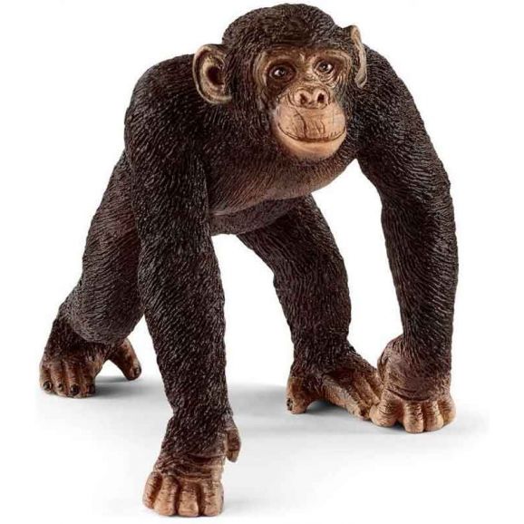 Schleich Schimpans Hane 14817