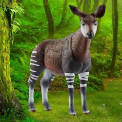 Schleich Okapi 14830