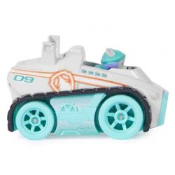 Paw Patrol True Metal Gift Pack - Neon