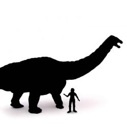 Papo Apatosaurus Dinosauriefigur